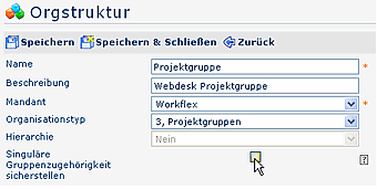 Projektgruppe_Orgstruktur Projektgruppe_Orgstruktur